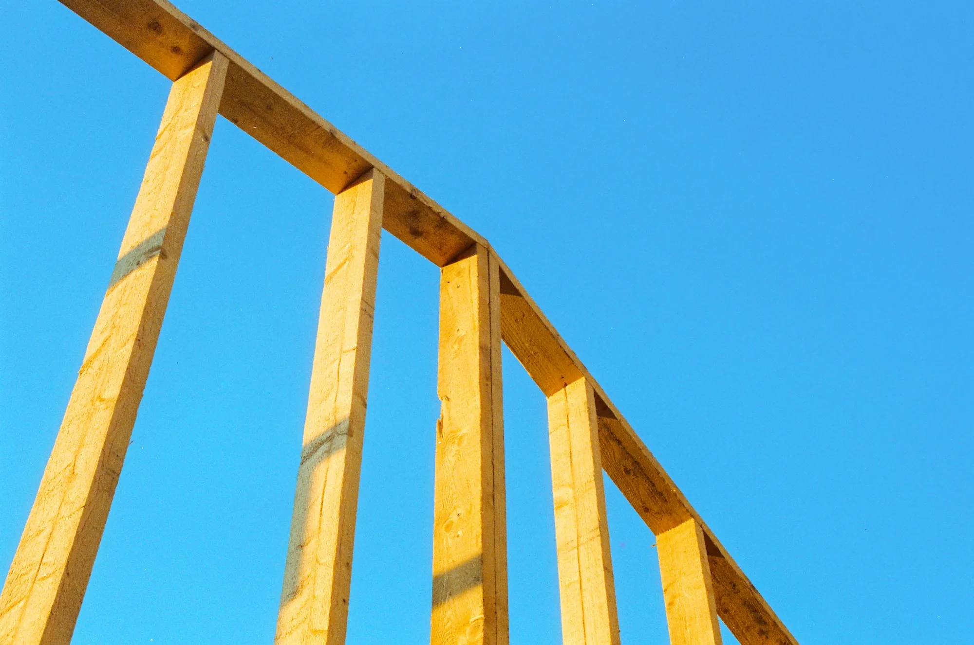Timber wall frames rising against a clear sky
